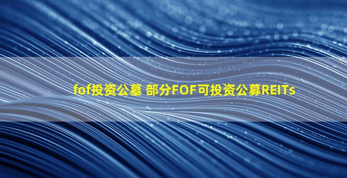 fof投资公墓 部分FOF可投资公募REITs